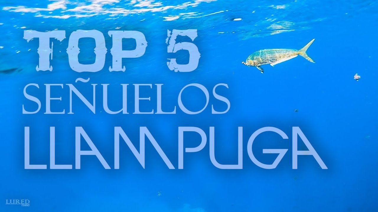 TOP 5 SEÑUELOS para LLAMPUGA