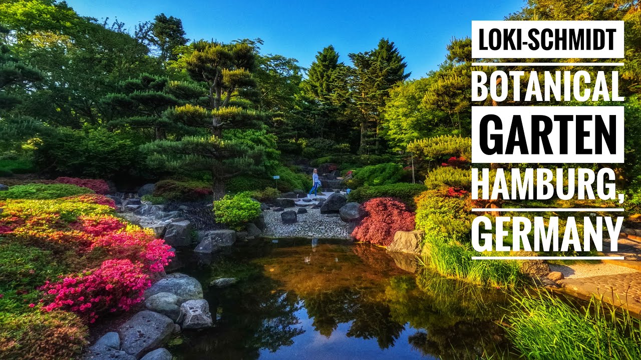 Loki-Schmidt Botanical Garden, Hamburg, Germany 2023 - 4K UHD Tour!