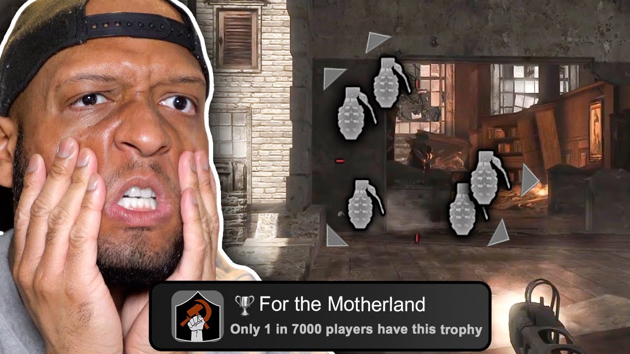 World At War's campaign on veteran is PAIN