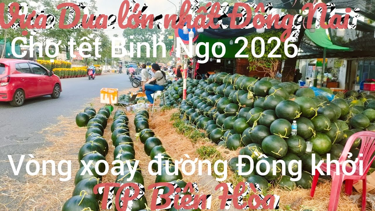 Vựa Rưa lớn nhất hoa tết trên đường Đồng khởi TP Biên Hòa tràn nập sắc xuam