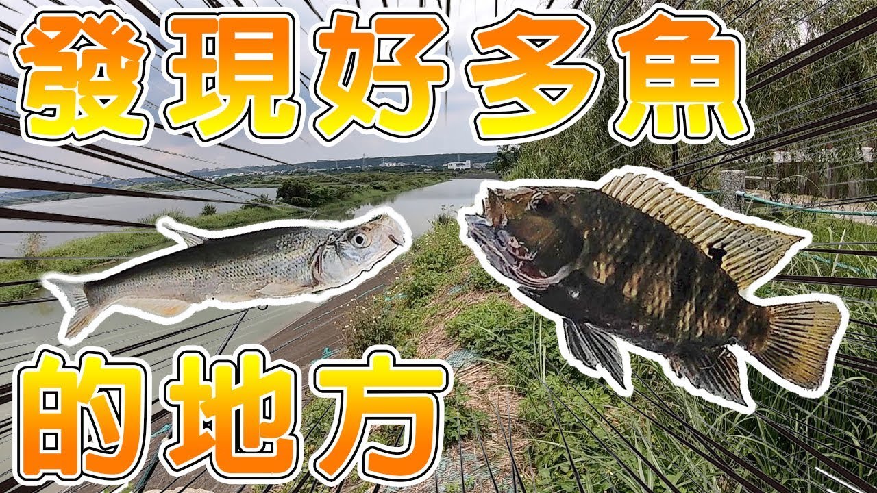 【紀錄】新北市│大漢溪│路亞│發現新釣點│新郵票│Lure Fishing