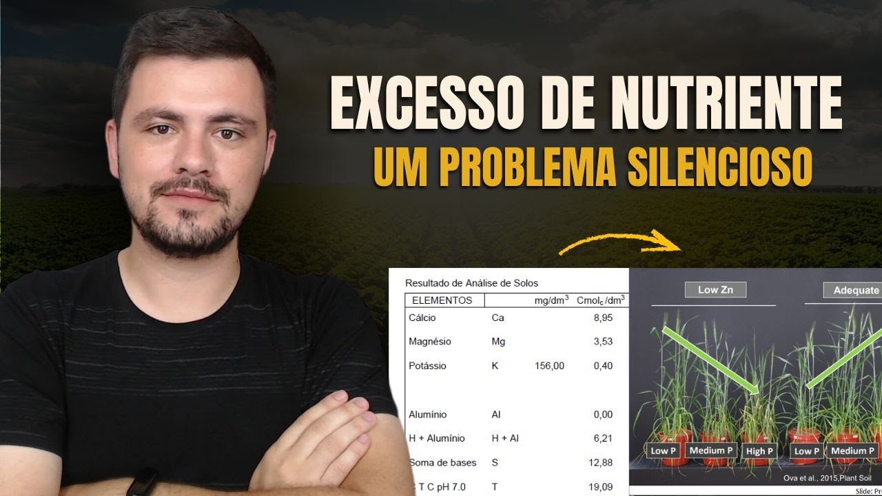 O problema do EXCESSO DE NUTRIENTES no solo