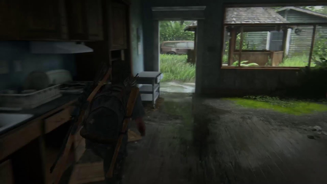 Last of us 2
