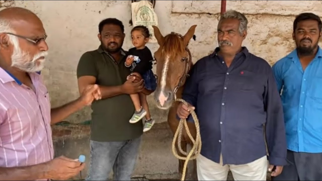 Part -2 R. Arivudai nambi loft trichy and horses for reckalla race by trichy shaik