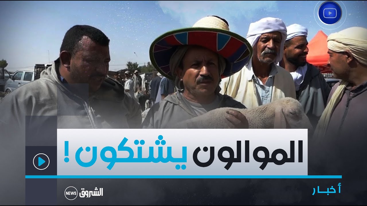 #الأغــواط| الموالــون يشتكــون قلــة وغــلاء الأعــلاف