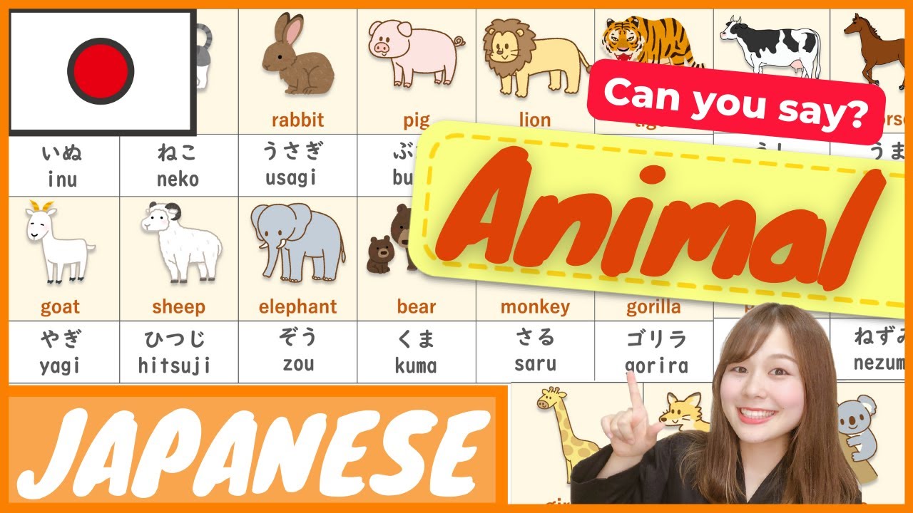 【Animal】in Japanese どうぶつ/動物  | Japanese vocabulary