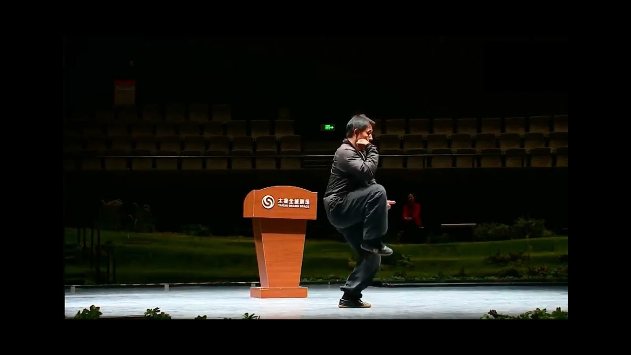 2023 太极网celebration - demonstration by master Chen Ziqiang