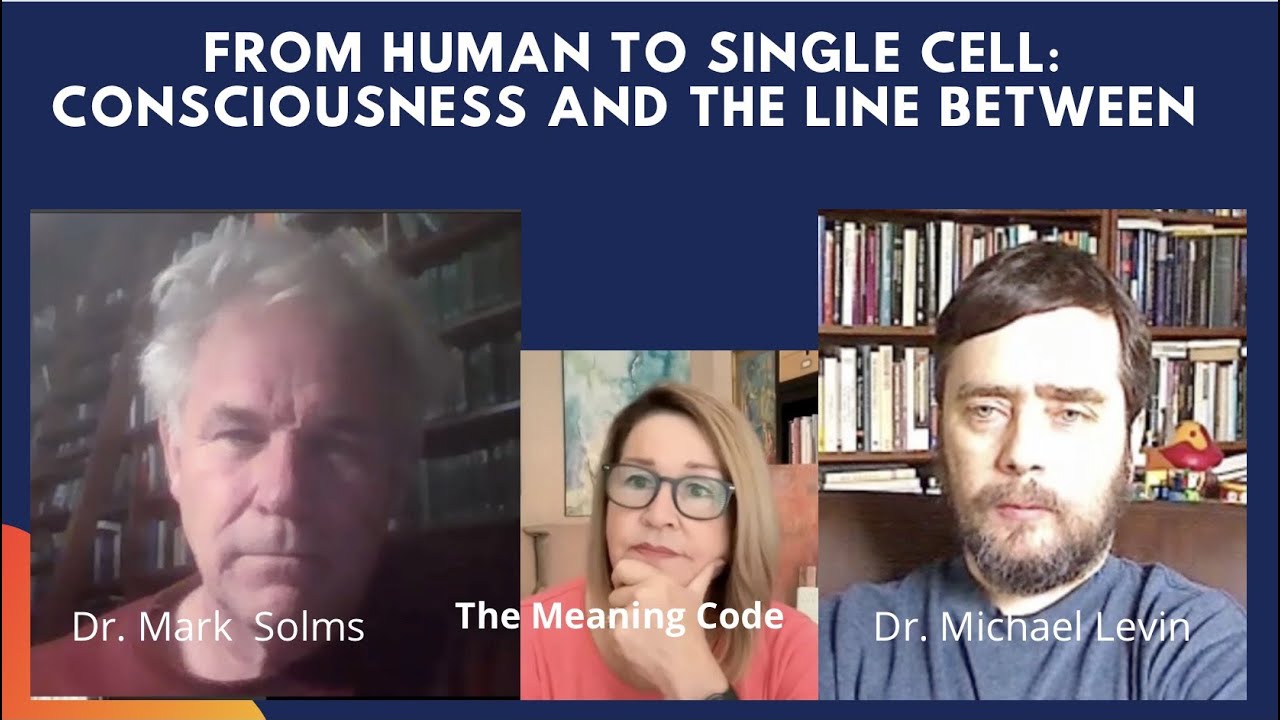 Mark Solms and Michael Levin discuss Consciousness, Cognition and Opponent Processing