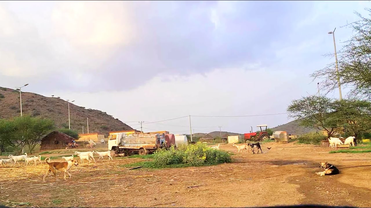 THE FARM SIDE OF ABU ARISH, JAZAN , SAUDI ARABIA