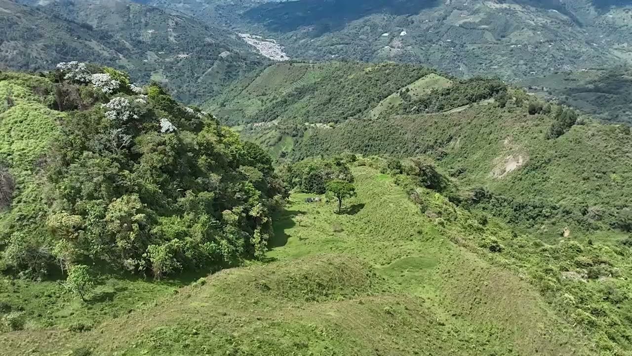 Finca Alto Bello, Génova - Quindío
