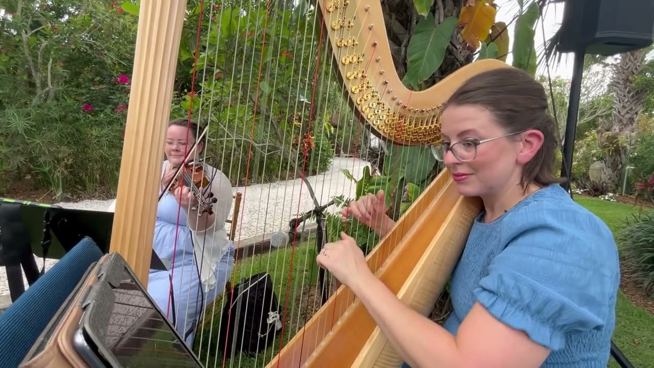Cheap Thrills by Sia on Harp and Violin from Bridgerton
