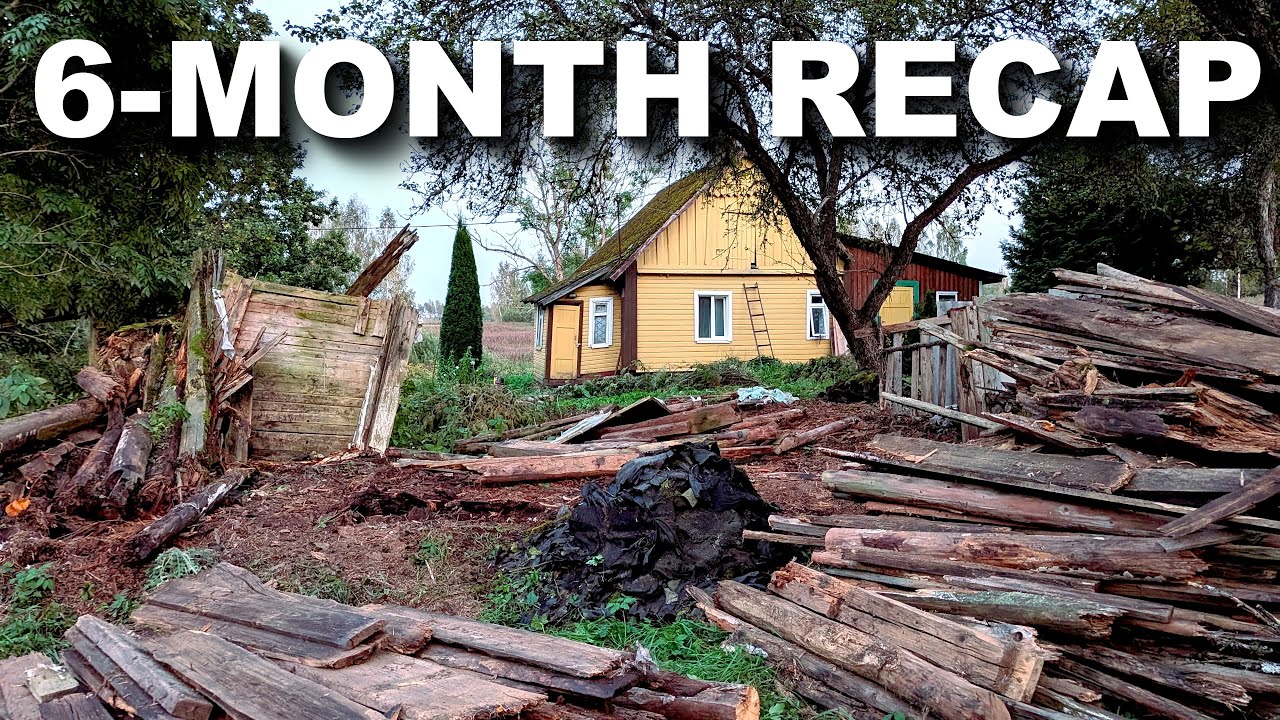 The First 6 Months at My Homestead: Everything I've Done