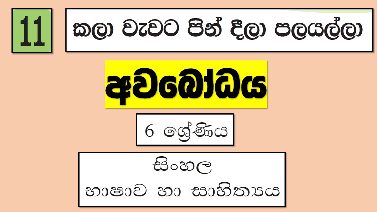Grade 6 සිංහල | 11 පාඩම - කලා වැවට පින් දීලා පලයල්ලා  - අවබෝධය | Kala Vavata Pin Deela Palayalla