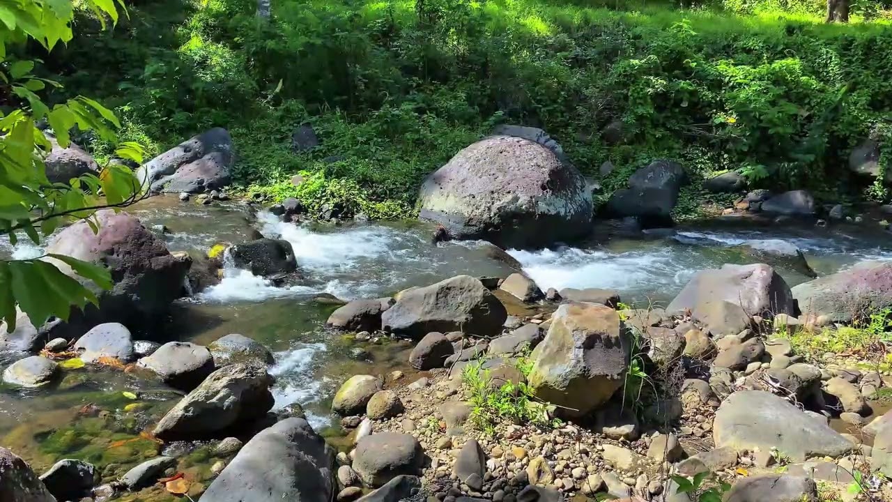 🌊 Calm Flow Therapy 🍃 Natural Water Sounds For Stress Relief