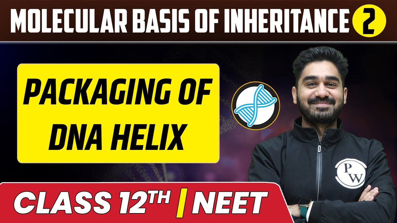 Molecular Basis Of Inheritance 02 | Packaging of DNA Helix | Class 12th/NEET