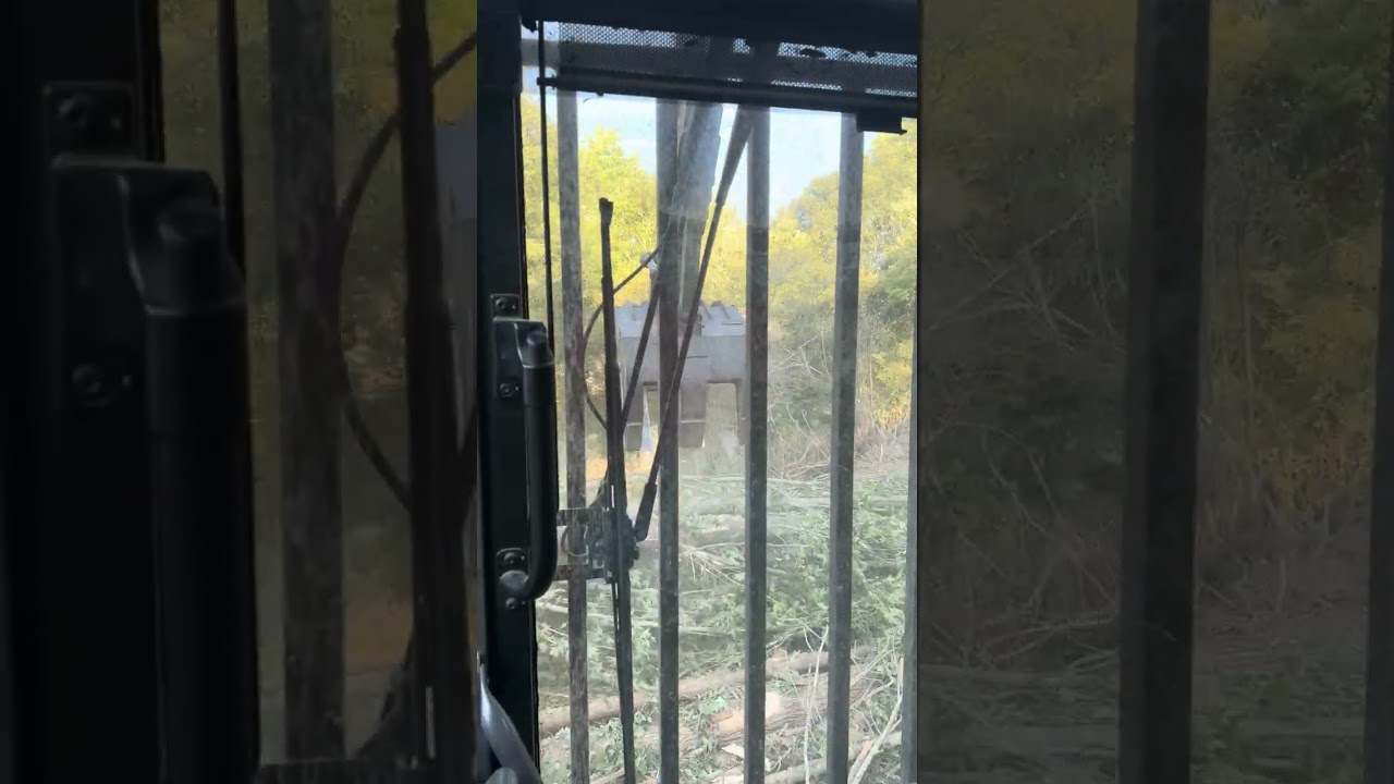 Whole tree chipper POV