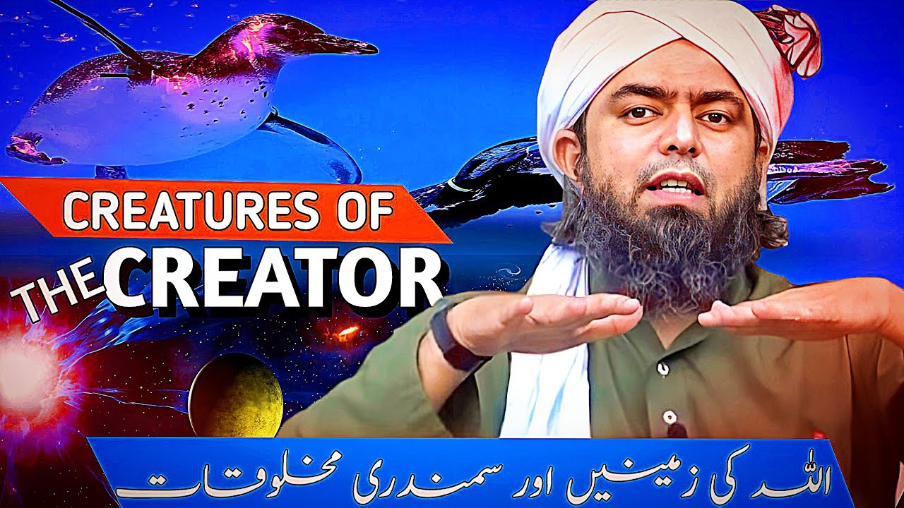 😍 Divine Creatures of Land and Sea !!! Engineer Muhammad Ali Mirza