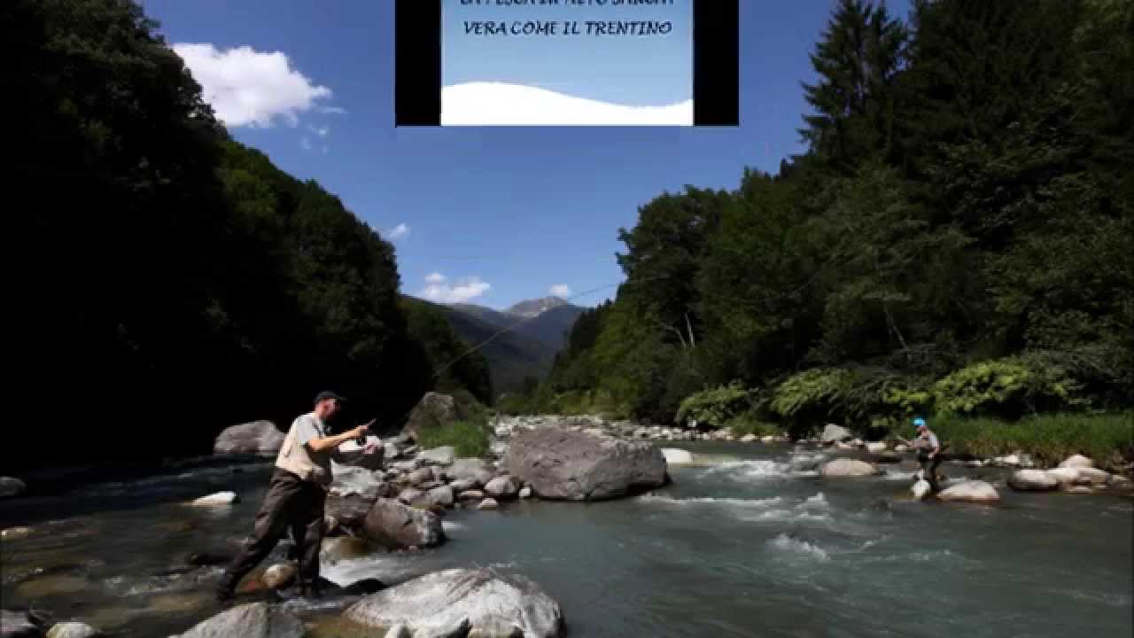 Pesca in Alto Sarca - Trentino