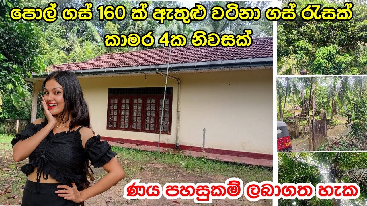 ණයක් උනත් ගන්න පුළුවන් වටිනා ඉඩමක් සහ නිවසක් ඉතාමත් අඩු මිලට  විකිණීමට #acland #sale