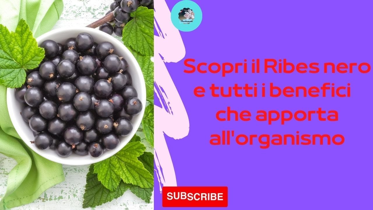 Scopri il Ribes nero e tutti i benefici   che apporta all'organismo