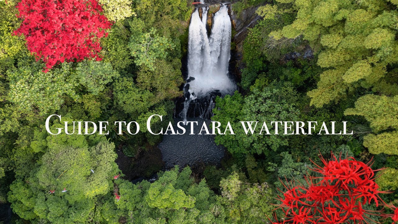 Trinidad & Tobago || Guide to Castara waterfall - an easy 10 min hike through Tobago's lush forest