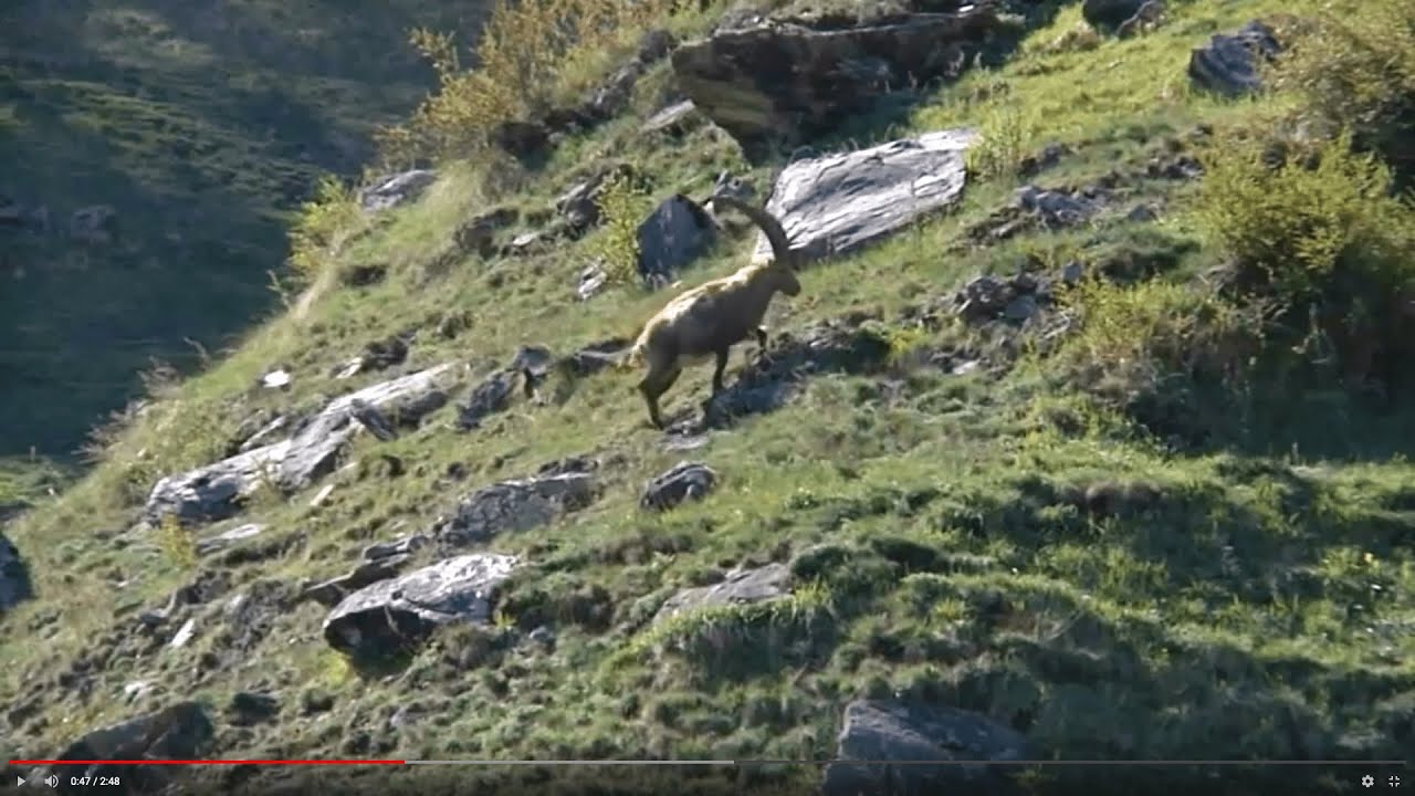 Il respiro della Natura di Chuang Tzu