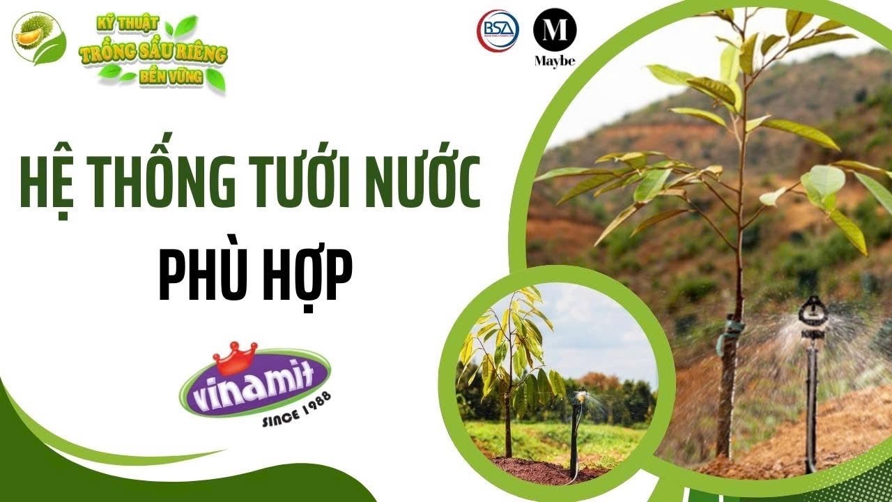 Hệ thống tưới nước phù hợp #5 - Nông gia Huỳnh Quới