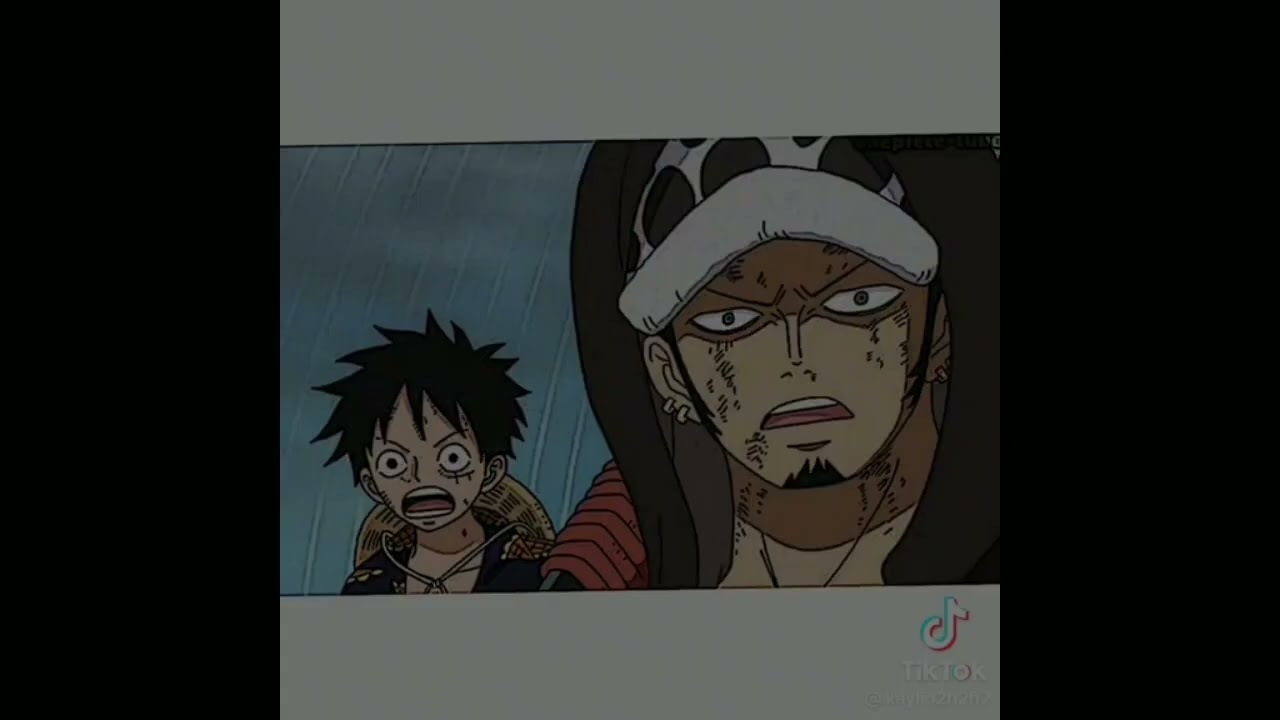 tổng hợp tiktok law x Luffy#đam mỹ One Piece#lawlu#