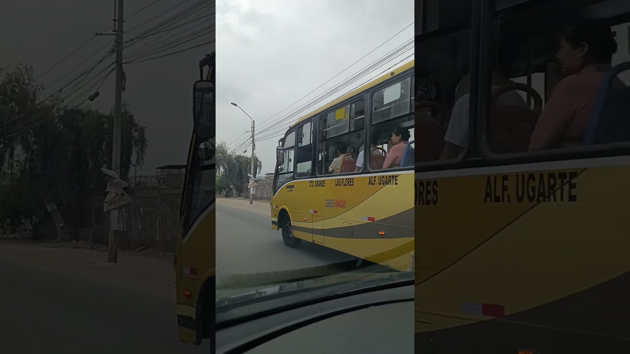 Canto grande centro comercial alameda plaza San Juan de lurigancho