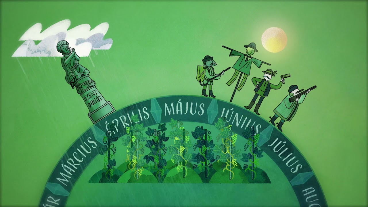 Az egri szőlőművelés hagyományai