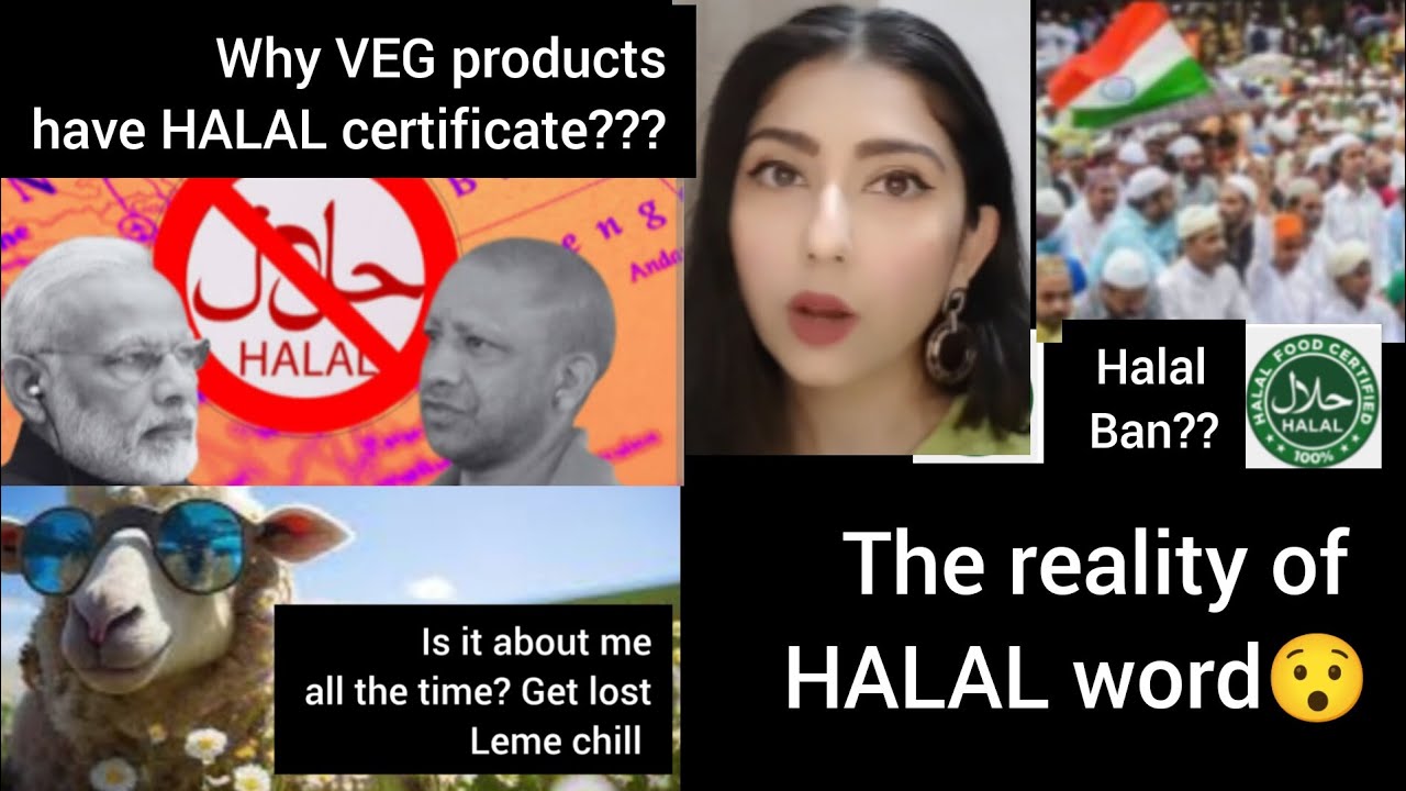 HALAL BAN?? bhai halal hota kya hai?😯 PART ONE introduction of word Halal #halal #food #muslim #gk