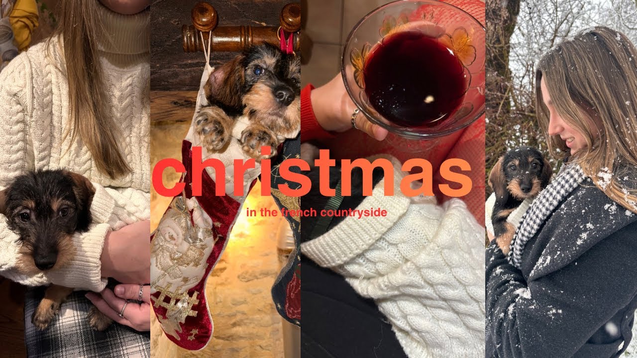 xmas in occitanie france w/ a new puppy 