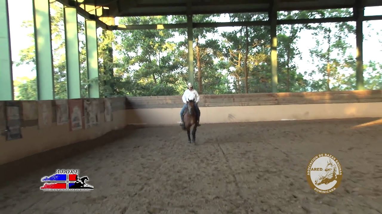 Cuarto de Milla TV - Entrenamiento potro
