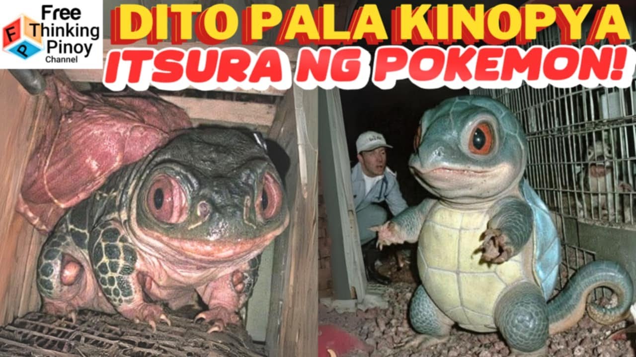 POKEMON KALOKALIKE part 3 | Mga hayop na kamukha ng Pokemon