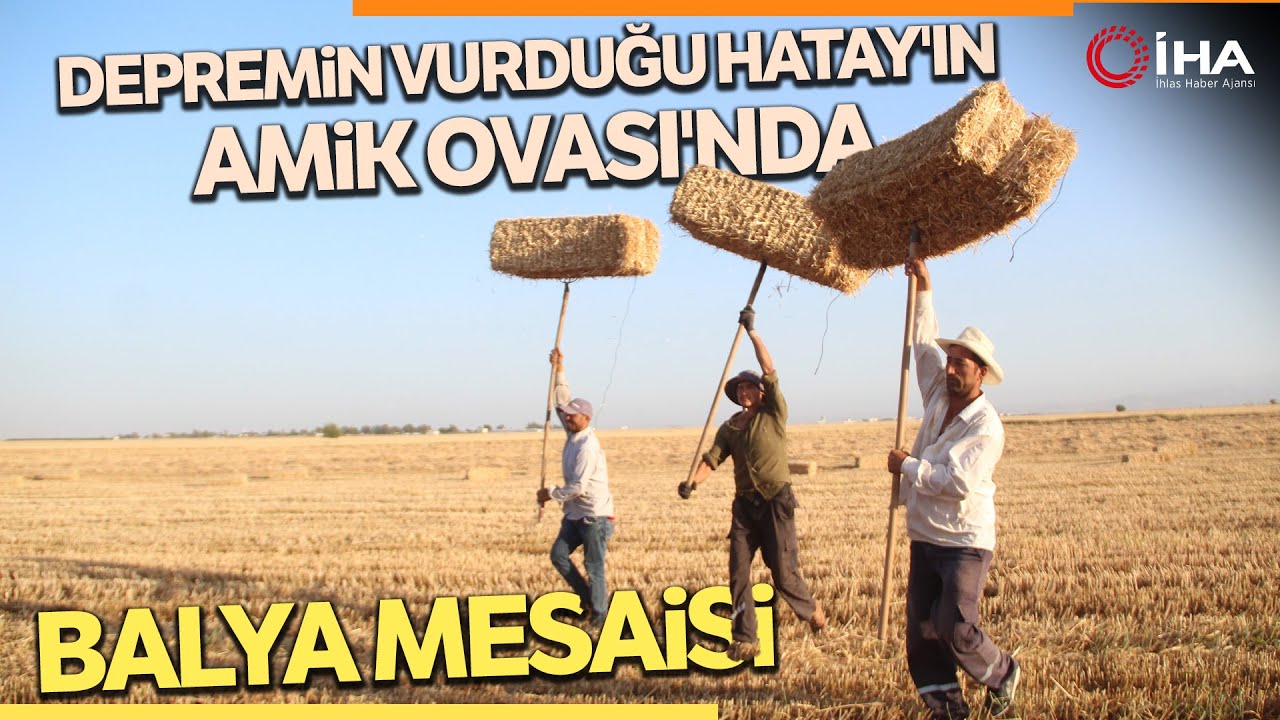 Arazideki Zorlu Saman Balyalama Çalışması Dron İle Görüntülendi