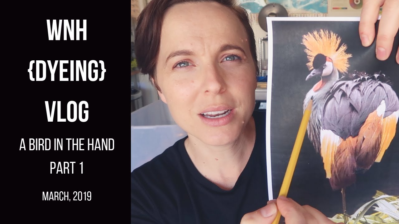 The {Yarn Dyeing} Vlog-A Bird in the Hand Part 1 with Fiber for the People® (March,  2019)