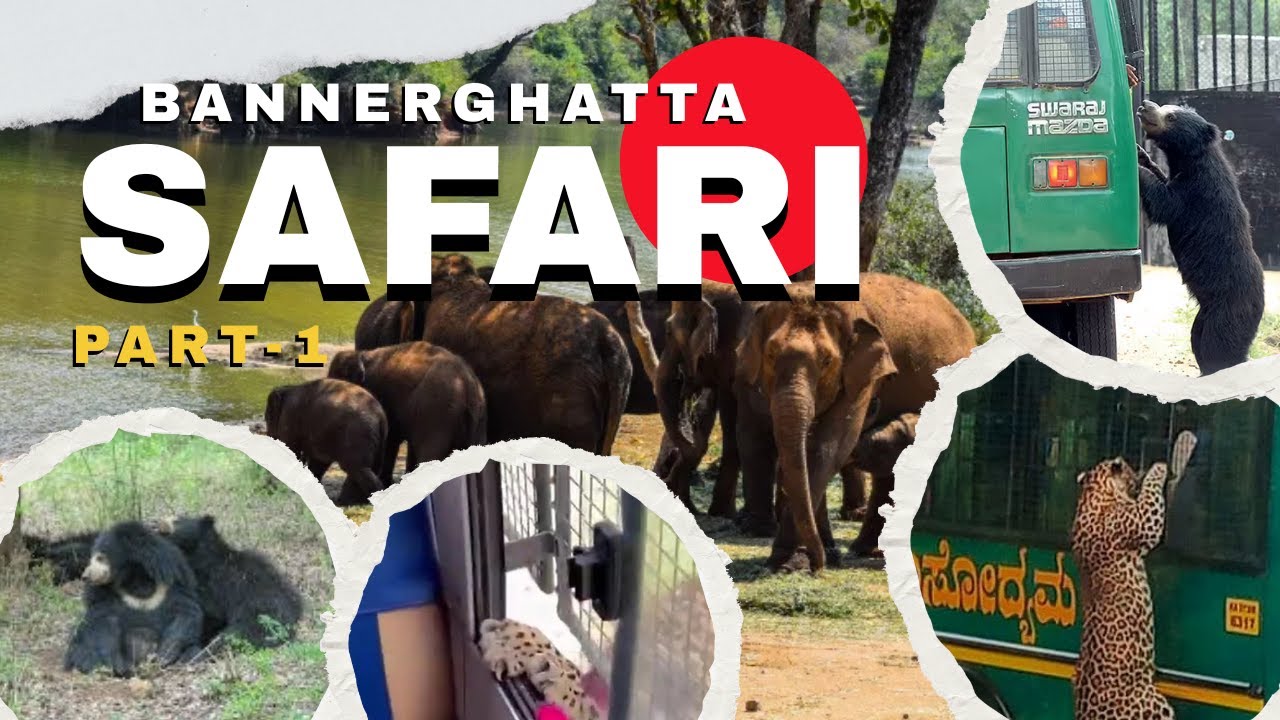 Bannerghatta Safari Bangalore 🦁 | Jungle Safari Experience – Part 1 #Bannerghatta #SafariPart1