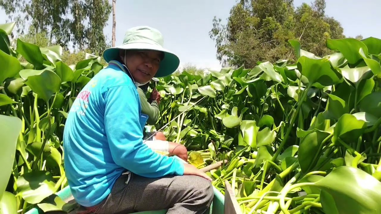 Ngày thứ 2. anh thạo câu được cá lân siu khủng , câu cá lân 