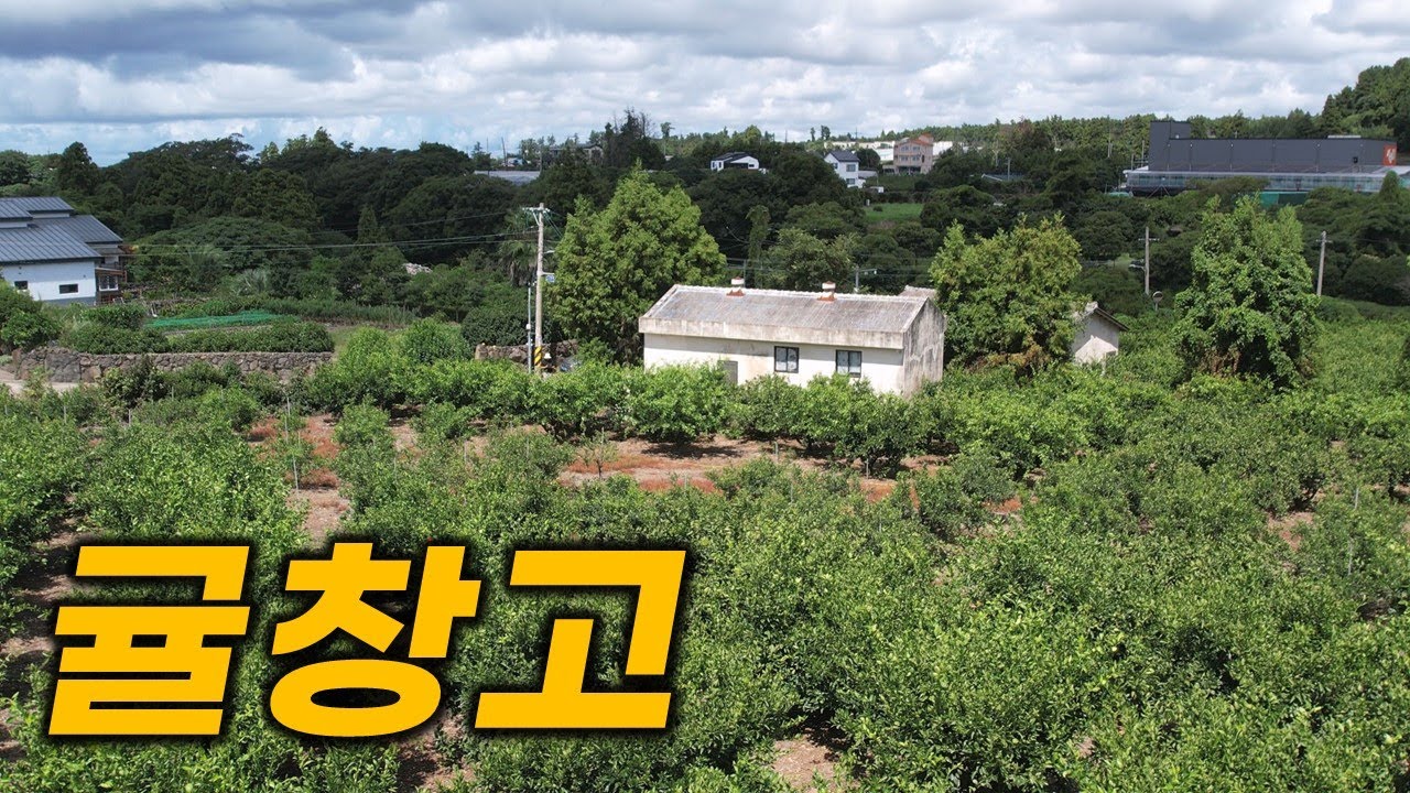 제주도 감귤향기 물씬 풍기는 곳입니다 L-389 창고도 있어서 활용하기 참 좋아요