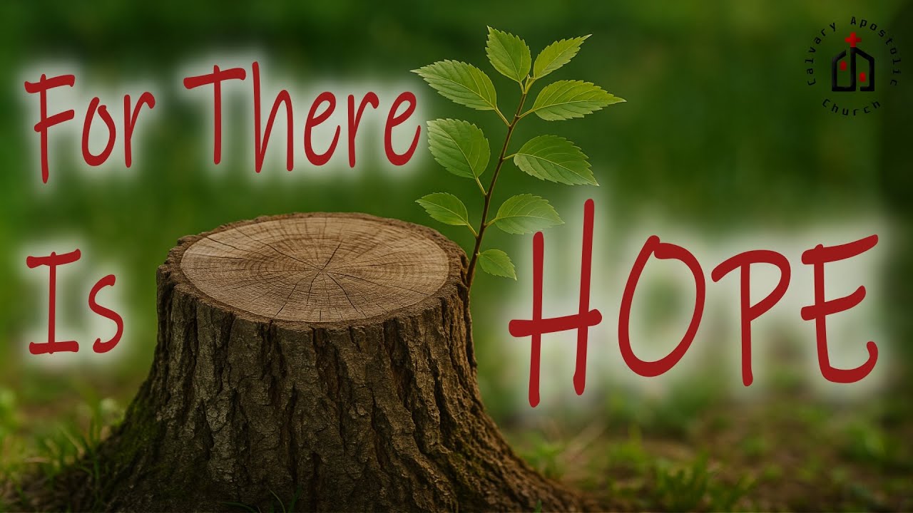 "For There is Hope" - Oct 26, 2025