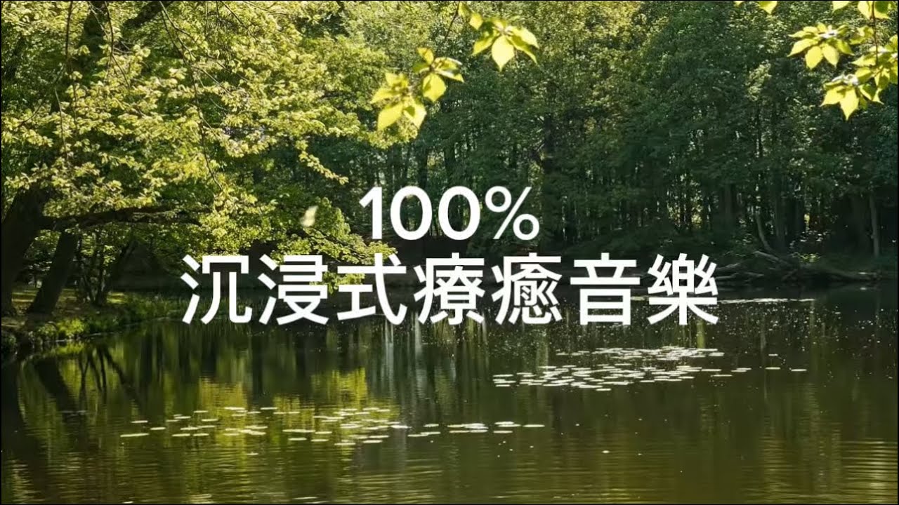 （無廣告）100%沉浸式療癒音樂｜放鬆身心 靜心冥想 Relaxing Music for Mind & Body