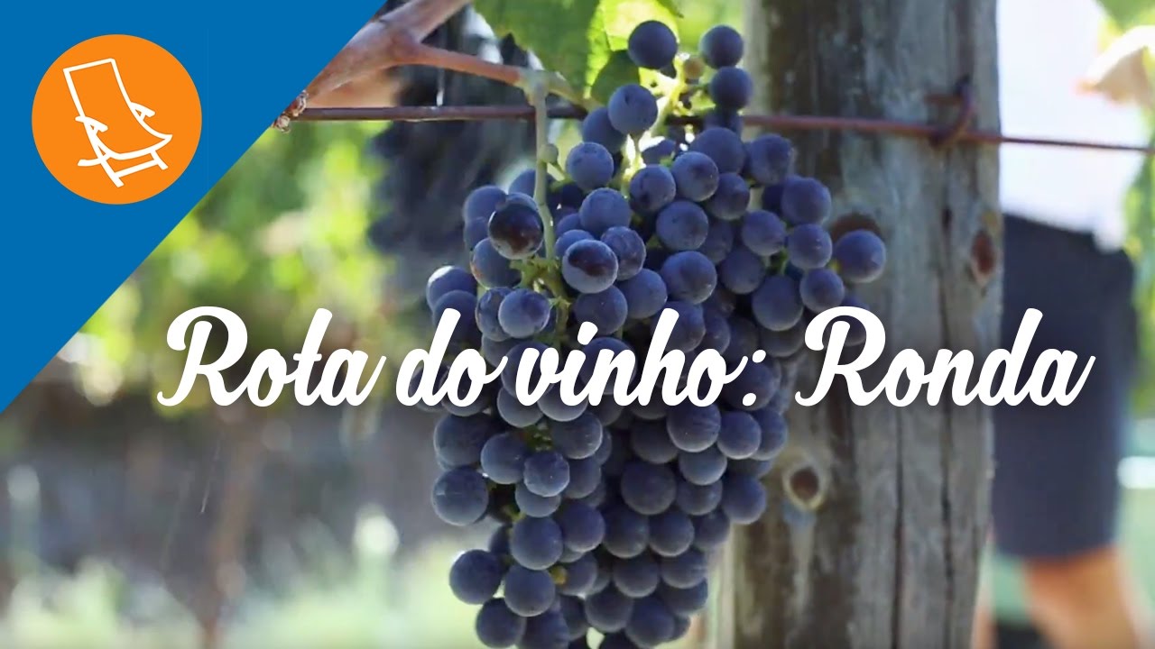 Rota do vinho em Ronda: Descubra as bodegas