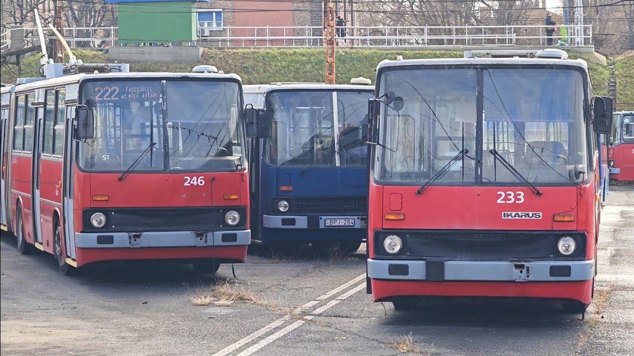 Buszok és trolik a Kőbányai garázsban