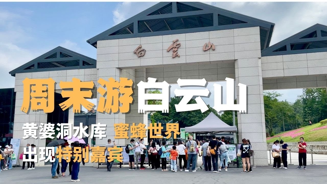 周末游白云山出现特别嘉宾 | 蜜蜂世界食蛋挞 | 探秘黄婆洞水库 | 广州漫步 Walk in GuangZhou[字幕]