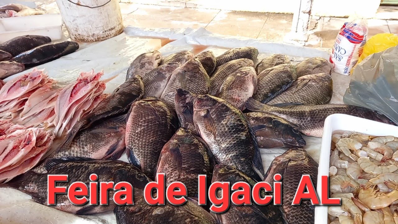 Feira de Igaci AL