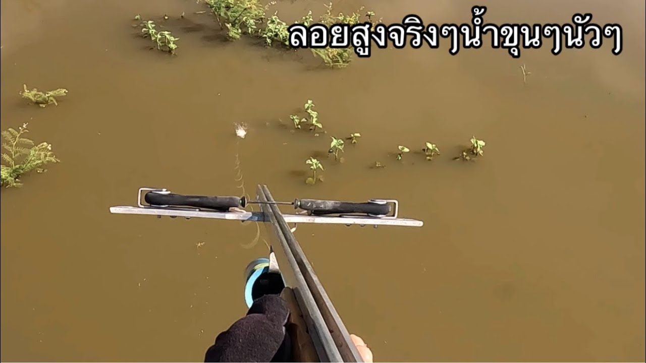 ￼น้ำขุ่นๆ ปลาลอยสูงเห็นตัวง่าย ￼