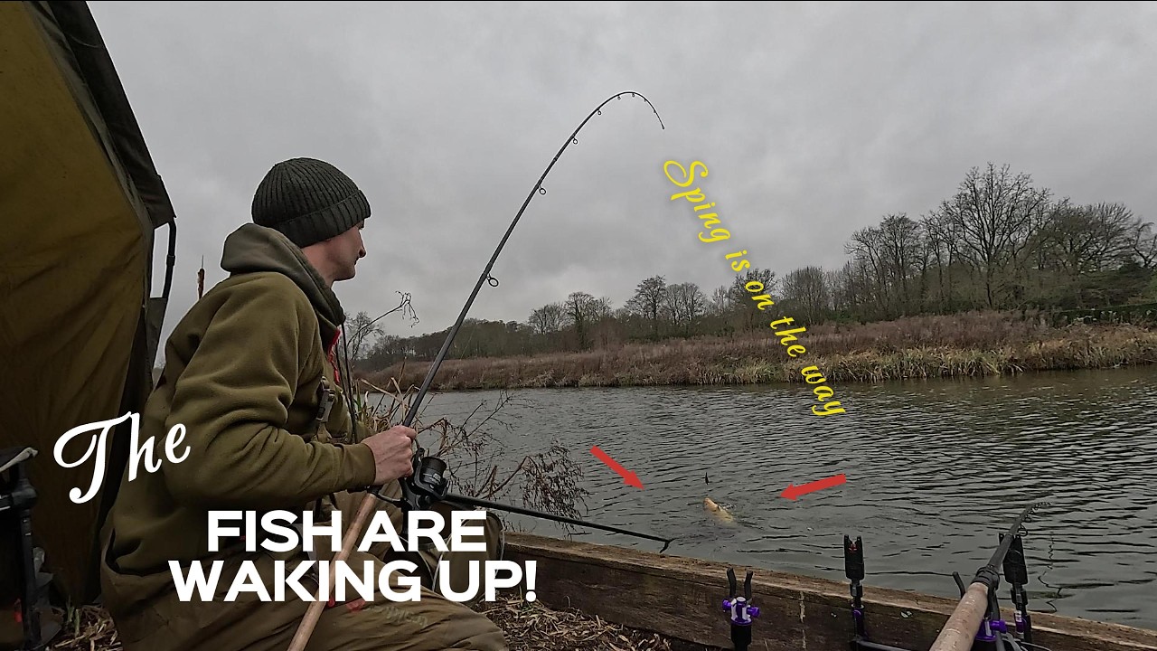 The fish are waking up!  Spring is on the way #marshfarm