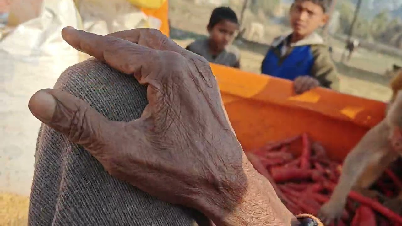 साधु जी की तपोस्थली भवरेश्वर में सभी शुभचिंतक  की ओर से संकट हरण महाभोज 2/2026