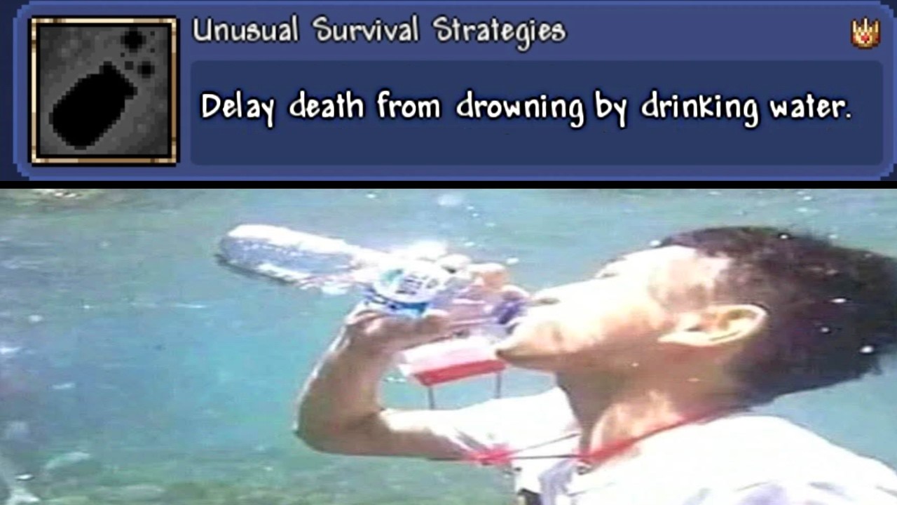 Terraria Memes