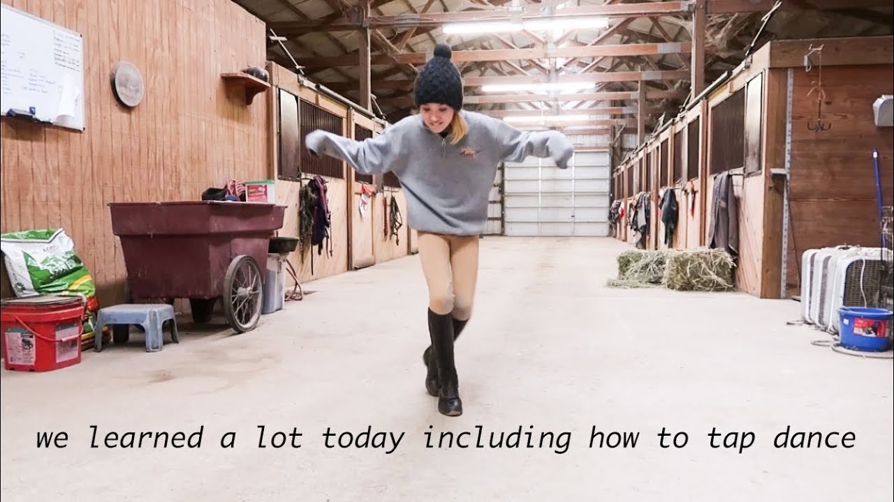 first barn vlog of the year